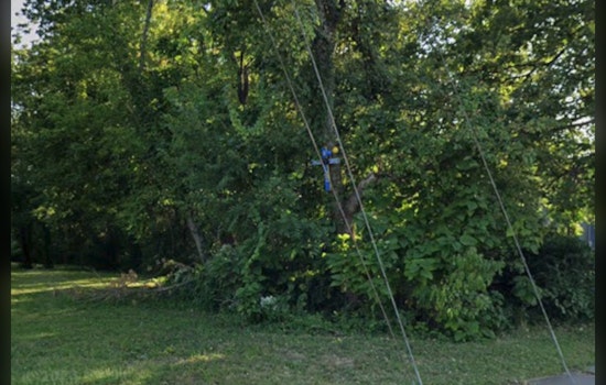 Memorial Cross Disappears From Independence Tree, Leaving Hardware Behind