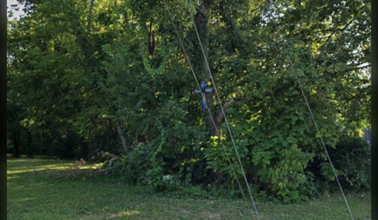 Memorial Cross Disappears From Independence Tree, Leaving Hardware Behind