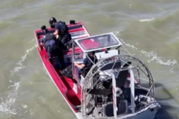 Menlo Park Firefighters Wade Into Marsh To Snatch Tiny Pup From Seagull Mob