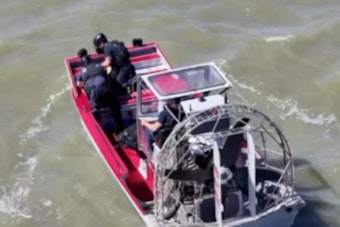 Menlo Park Firefighters Wade Into Marsh To Snatch Tiny Pup From Seagull Mob