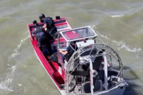 Menlo Park Firefighters Wade Into Marsh To Snatch Tiny Pup From Seagull Mob