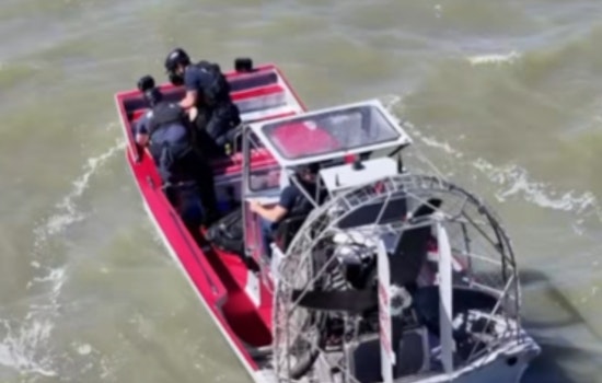 Menlo Park Firefighters Wade Into Marsh To Snatch Tiny Pup From Seagull Mob