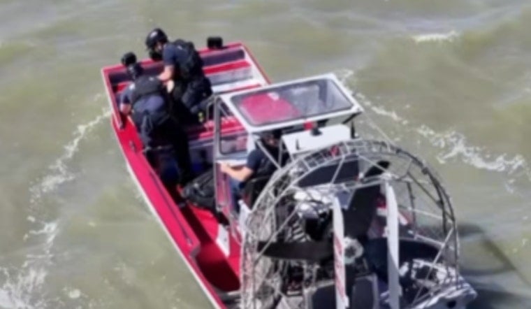 Menlo Park Firefighters Wade Into Marsh To Snatch Tiny Pup From Seagull Mob
