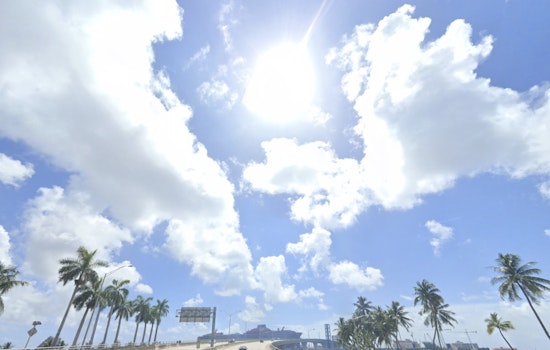Miami Turns Into Steam Room as Heat Advisory Clamps Down