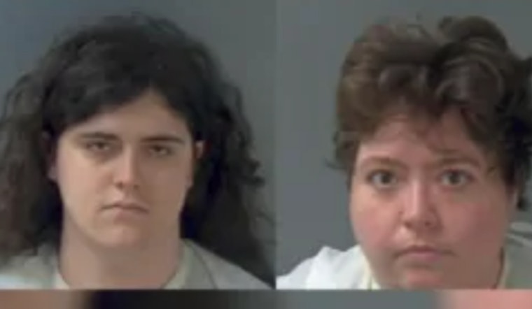 Midnight Traffic Stop Nabs Pair In Monroe County Kidnapping Scare