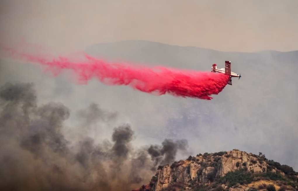 Mill Valley Hillside Brush Blaze Creeps Toward Homes Before Crews Stop It Cold