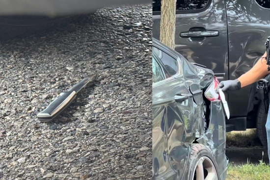 Minneapolis Vehicle Chase Ends With Knife, Guns And Stolen Cars