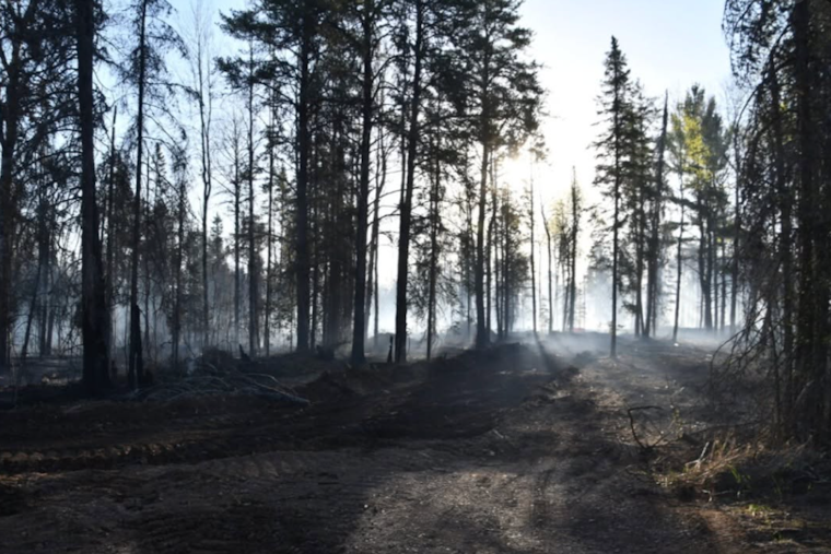 Minnesota Camper Slammed With $4.3M Tab Over Brimson Wildfire
