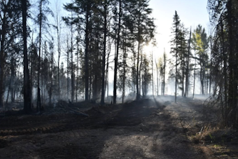 Minnesota Camper Slammed With $4.3M Tab Over Brimson Wildfire