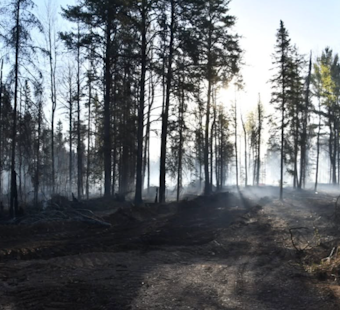 Minnesota Camper Slammed With $4.3M Tab Over Brimson Wildfire
