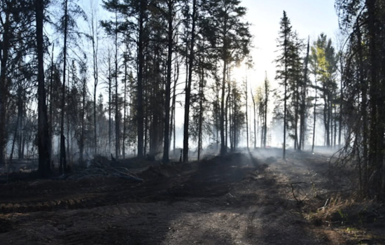 Minnesota Camper Slammed With $4.3M Tab Over Brimson Wildfire