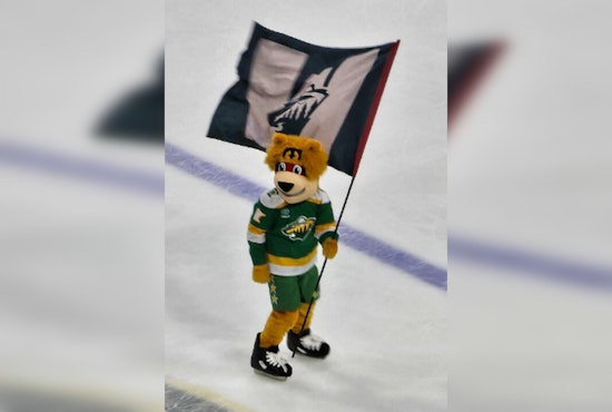 Minnesota Wild Launch League-Backed Channel Ahead Of 2026 Season