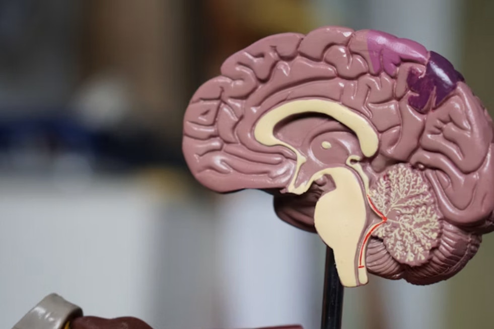 Missouri Couple Pushes Dementia Care Into Rural Medical Deserts