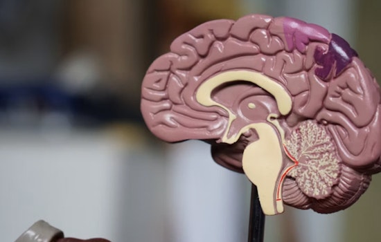 Missouri Couple Pushes Dementia Care Into Rural Medical Deserts