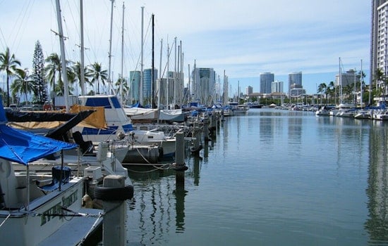 Monterey Solo Rower Storms Toward Record Finish In Honolulu Harbor