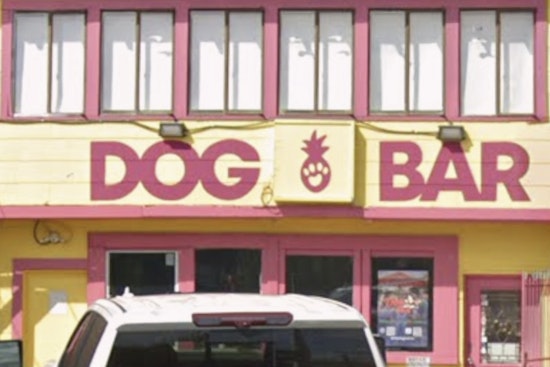 Montrose Dog Bar Is Back With A Spruced-Up Patio And Puptails