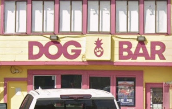 Montrose Dog Bar Is Back With A Spruced-Up Patio And Puptails