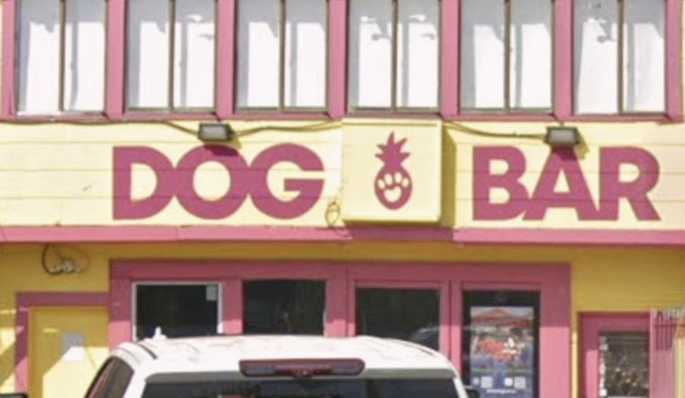 Montrose Dog Bar Is Back With A Spruced-Up Patio And Puptails