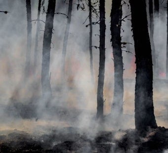 Morgan Territory Blaze Roars Above Clayton, Triggers Aerial Firefight