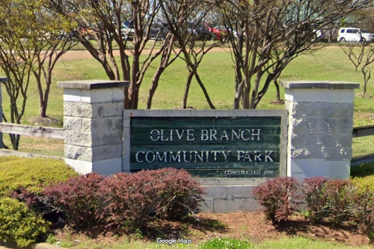 Mother, Daughter Survive Tree Crash at Olive Branch Park