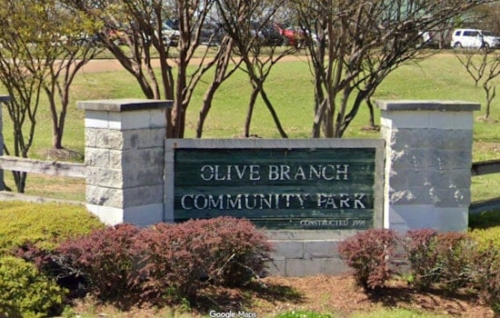 Mother, Daughter Survive Tree Crash at Olive Branch Park