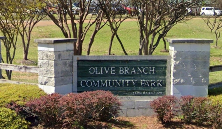 Mother, Daughter Survive Tree Crash at Olive Branch Park