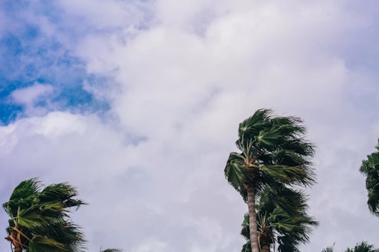 Muggy Trades Whip Honolulu as King Tides Creep In