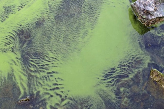 Mysterious ‘Suspicious Water’ Across Arizona Has Health Officials On Edge