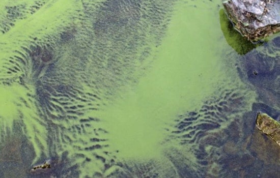Mysterious ‘Suspicious Water’ Across Arizona Has Health Officials On Edge