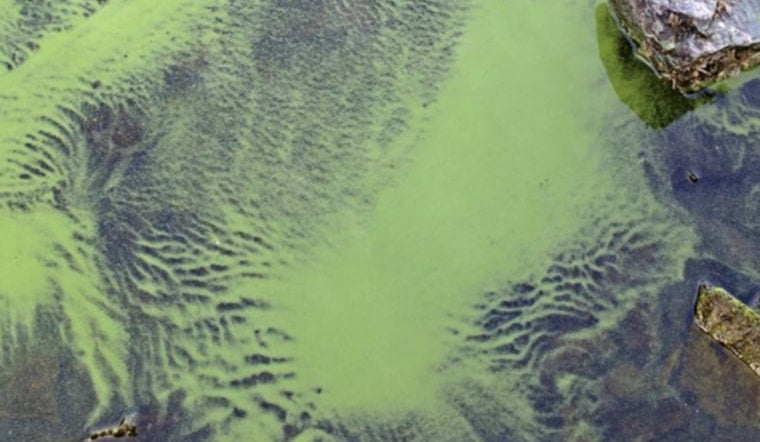 Mysterious ‘Suspicious Water’ Across Arizona Has Health Officials On Edge