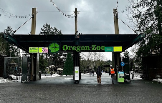 Mystery Blaze Guts Portland’s Long-Abandoned Zoo Bear House