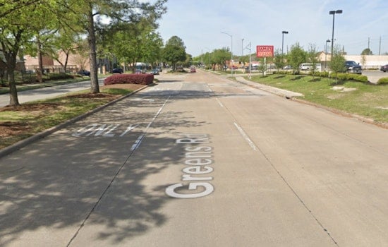 Mystery Bones In North Houston Field Rattle Greens Road Corridor