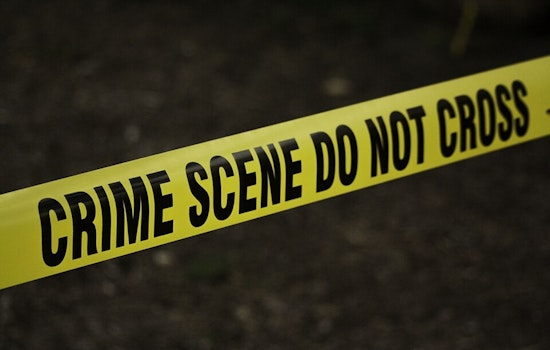 Mystery Bones Off Country Road Near Italy Rattle Ellis County Investigators