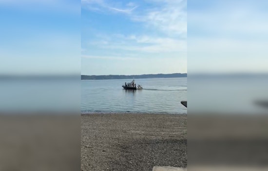 Mystery Kayak Sinks Off Dash Point As Search Intensifies