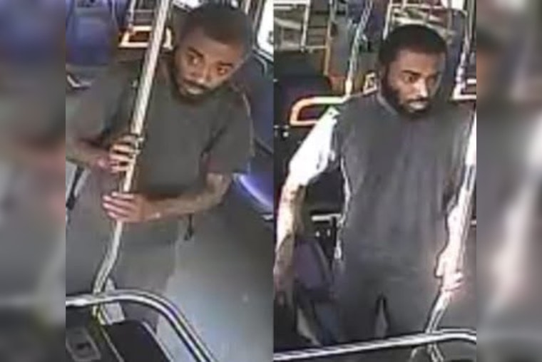 New Orleans Cops Hunt Leonidas Mystery Man After Evening Street Stabbing