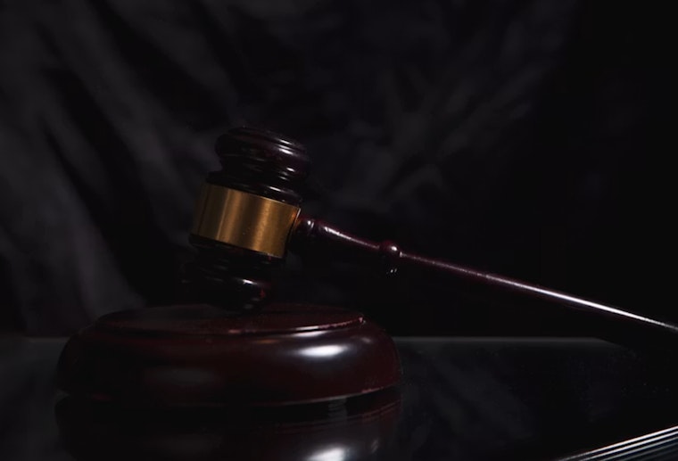 Newport Beach Rescue Operator Charged With Animal Cruelty