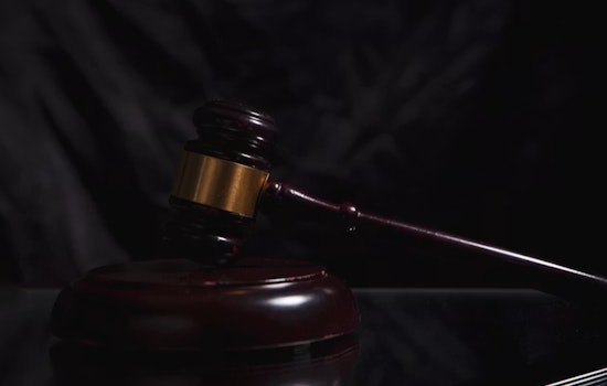 Newport Beach Rescue Operator Charged With Animal Cruelty