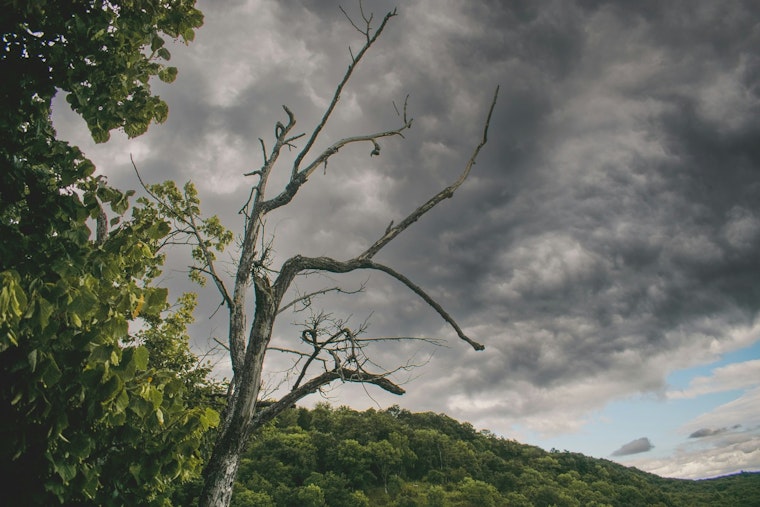 Norman Expands Seven-Day Debris Cleanup After July 4 Storm