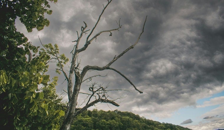 Norman Expands Seven-Day Debris Cleanup After July 4 Storm