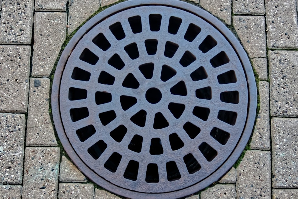 North Carolina Sewers Are Revealing What Communities Actually Eat
