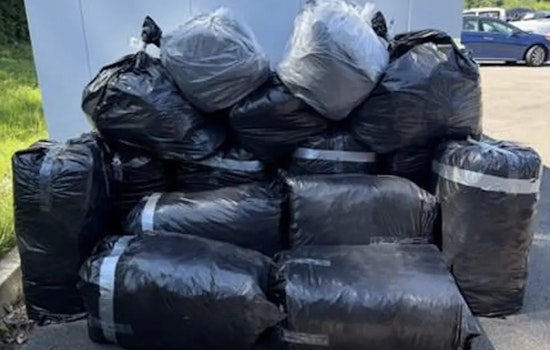 Northway Chaos: Massena Duo Nabbed After Wild Wrong‑Way Chase And 500‑Pound Pot Bust