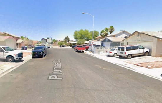 Northwest Vegas Family Demands Truth After Woman, 58, Shot Dead In Home