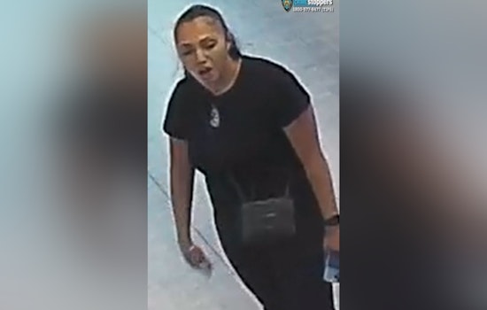 NYPD Seeks Suspect After 75-Year-Old Punched In The Lower East Side