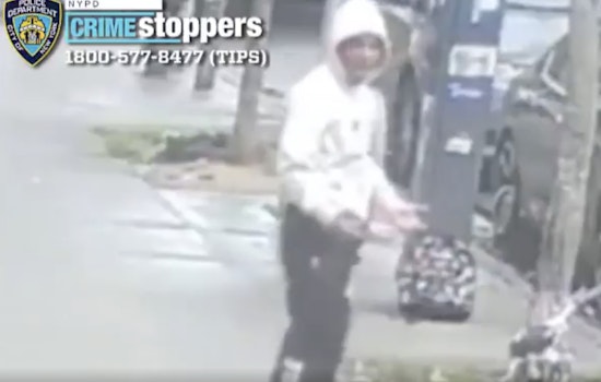 NYPD Seeks Suspect After 81-Year-Old Bronx Man Shoved Down