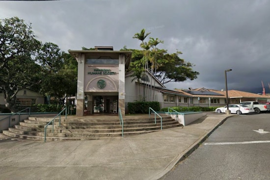 Oahu Erupts After Shocking Video Shows Dog Dragged Behind Walker