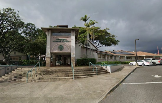 Oahu Erupts After Shocking Video Shows Dog Dragged Behind Walker