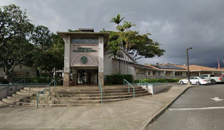 Oahu Erupts After Shocking Video Shows Dog Dragged Behind Walker