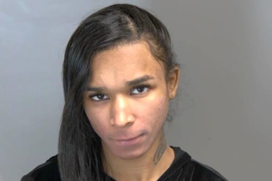Oak Park Man Cops Plea In Shelby Township Trailer Park Drive-By