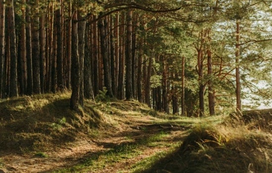 Oregon Tribes Turn Up Heat In High-Stakes Public Land Fight