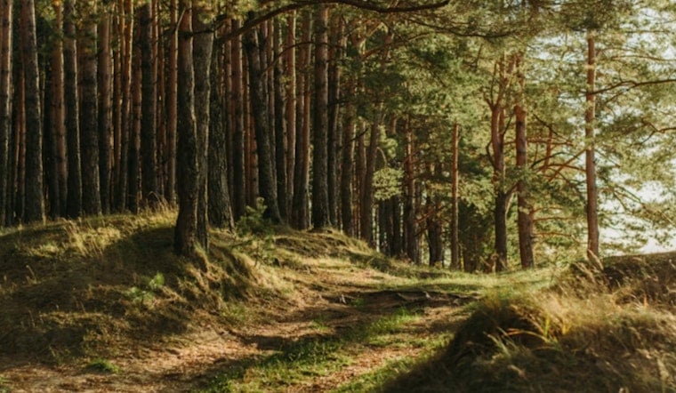 Oregon Tribes Turn Up Heat In High-Stakes Public Land Fight